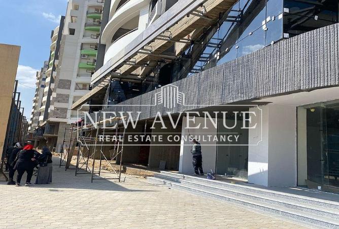 8374592 - Property Image 3