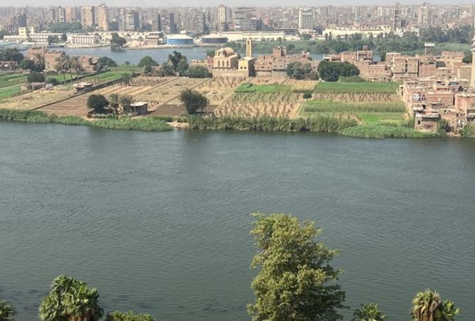 8003543 - صورة العقار 2