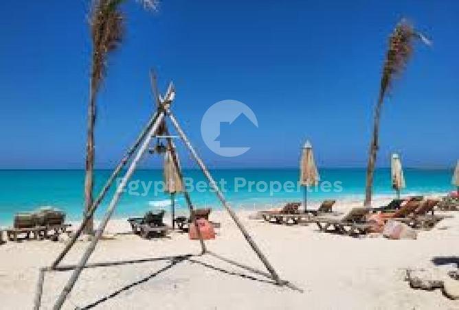7943767 - صورة العقار 2