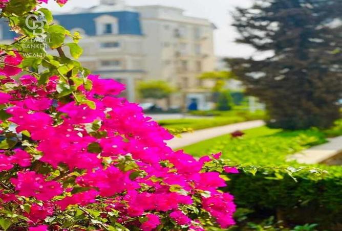 8067382 - Property Image 2