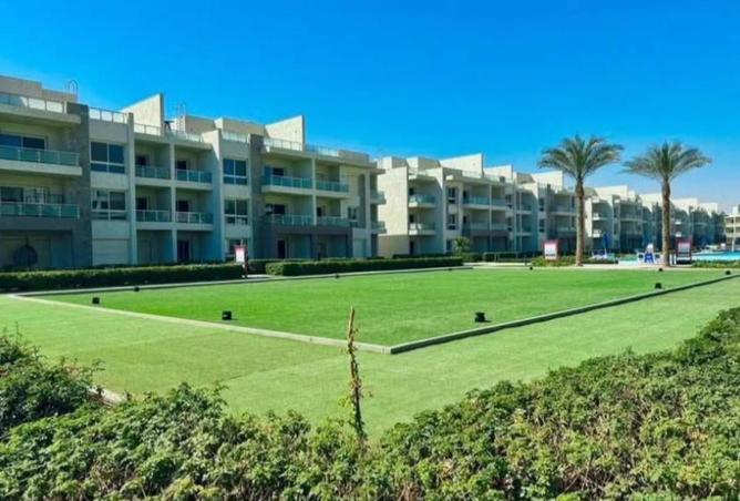 8401561 - Property Image 2