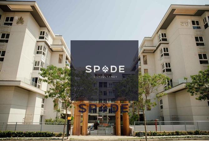 7936757 - Property Image 2