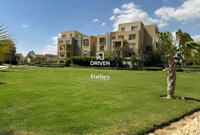 8390230 - Property Image 3