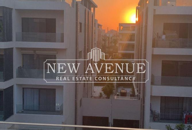 8131886 - Property Image 2