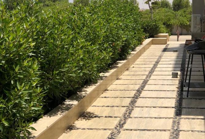 8415876 - Property Image 3