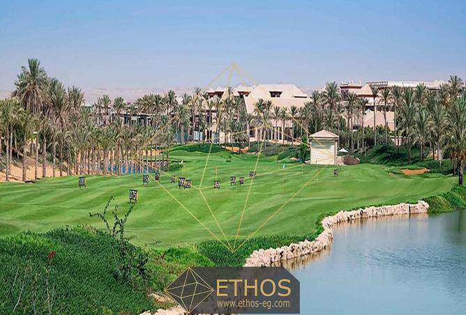 8281558 - Property Image 3