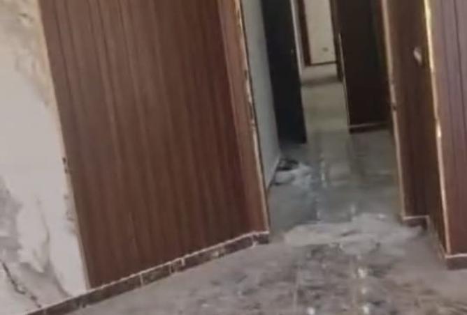 8513746 - صورة العقار 2