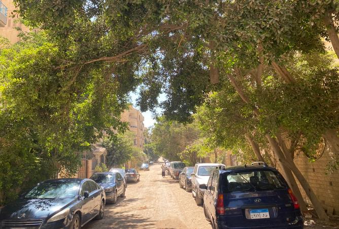 8335240 - صورة العقار 2