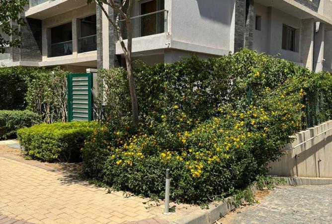 7933693 - Property Image 2