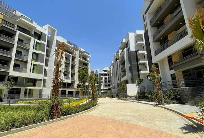 8467442 - Property Image 2