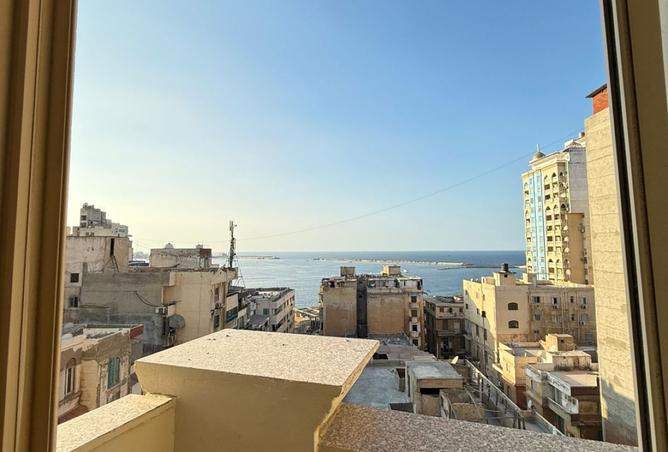 8234883 - Property Image 3