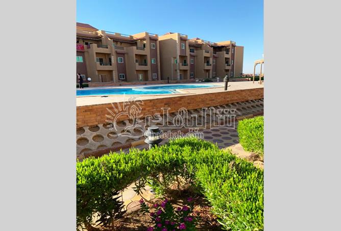 8153390 - صورة العقار 3