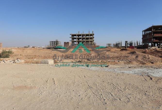 8362564 - Property Image 2