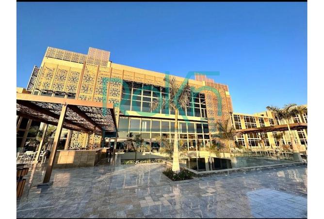 8243518 - Property Image 3