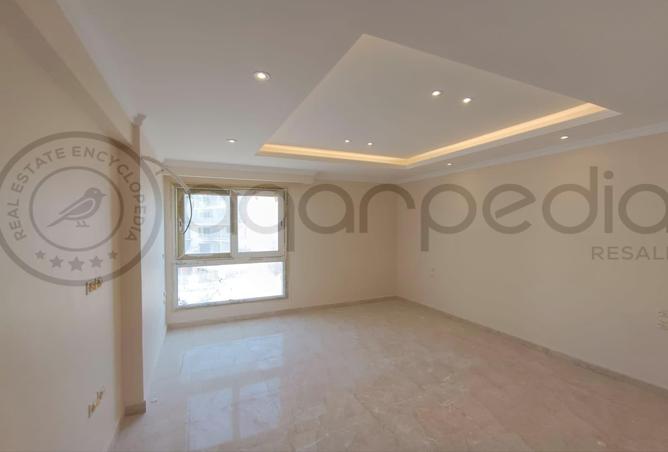 8206038 - Property Image 3