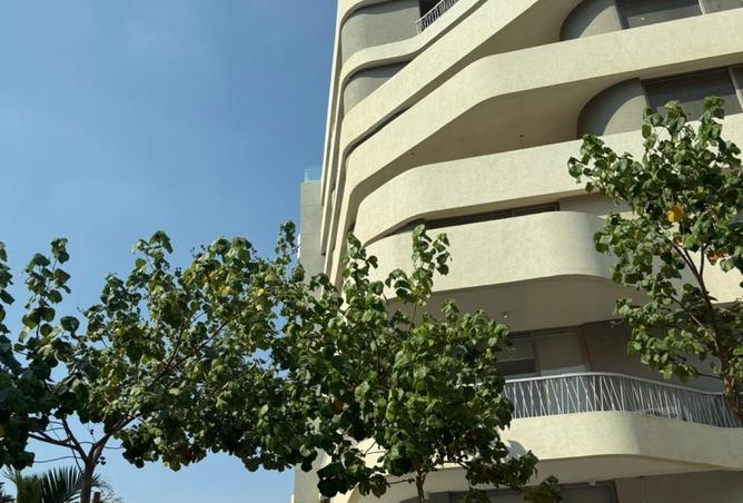 8287063 - صورة العقار 2