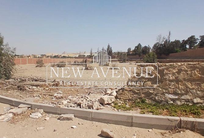 8431361 - الصورة الرئيسية للعقار