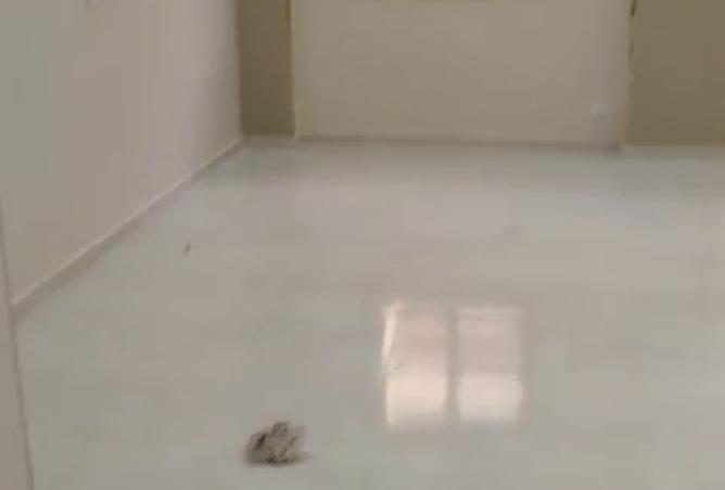 8409039 - صورة العقار 2