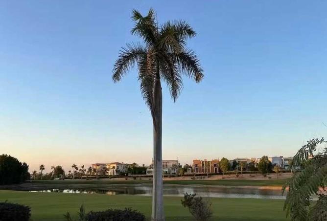 8265664 - صورة العقار 3