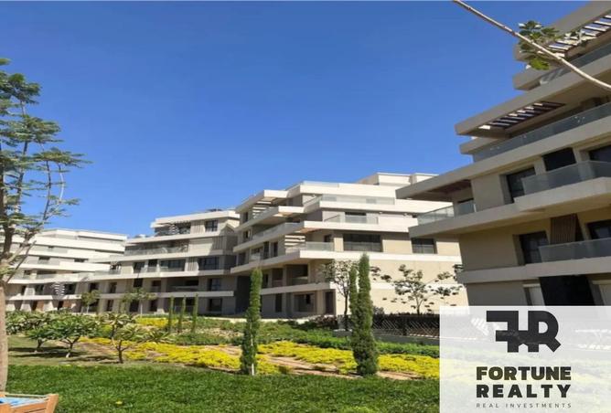 8355939 - Property Image 3