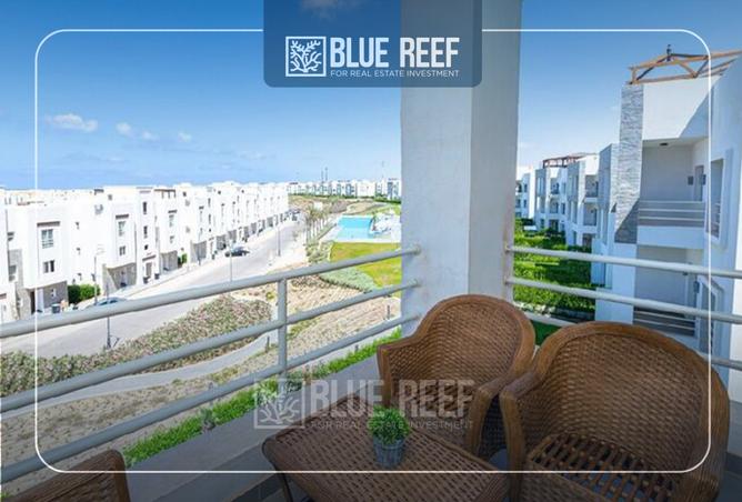 8276215 - Property Image 3