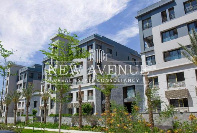 8419716 - Property Image 3