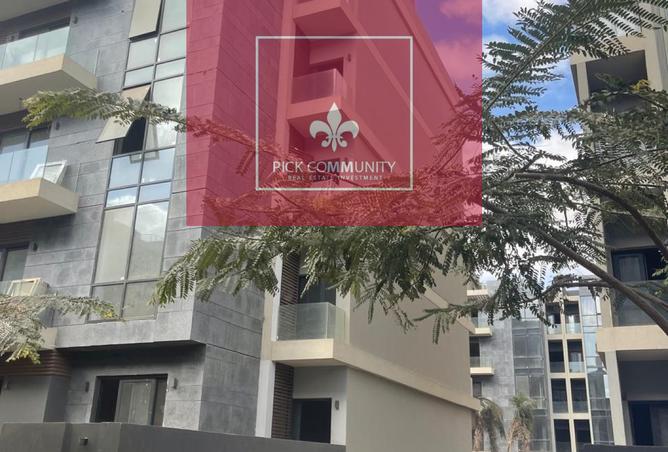 8086288 - Property Image 3