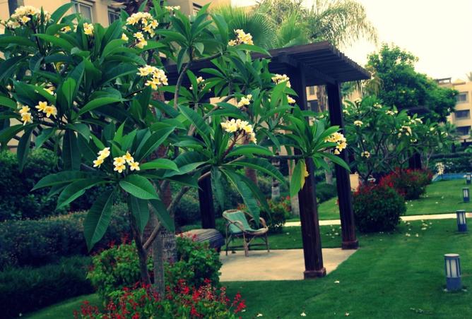8076175 - صورة العقار 2