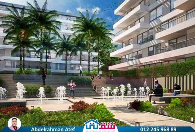8132882 - Property Image 2