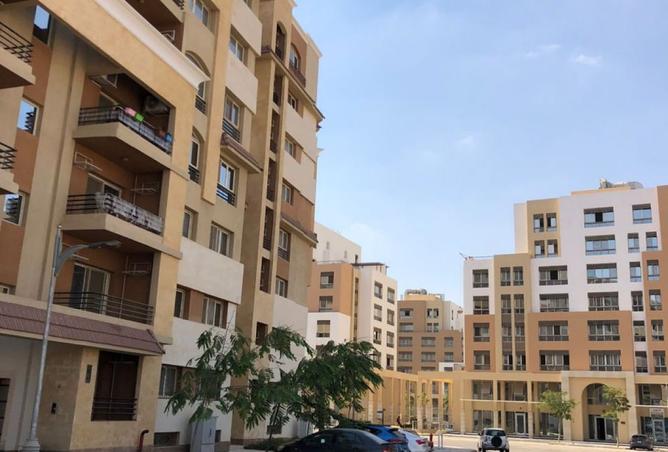 8131204 - Property Image 3