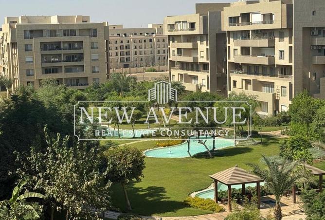 8218887 - Property Image 3