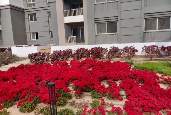 7970162 - صورة العقار 2