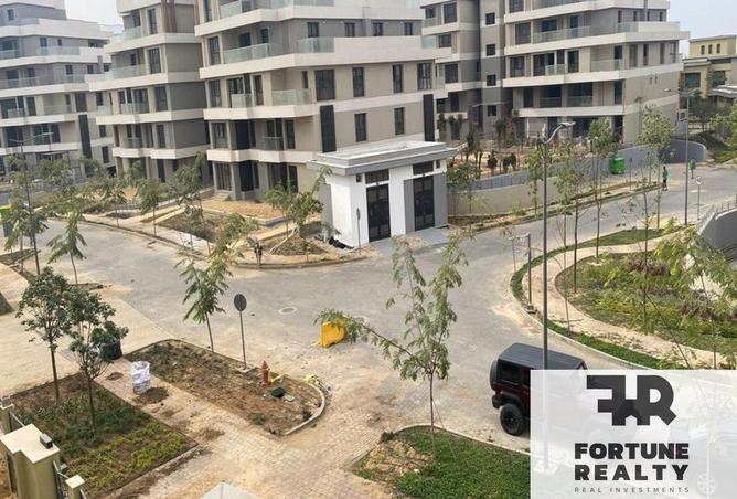 8372447 - Property Image 3