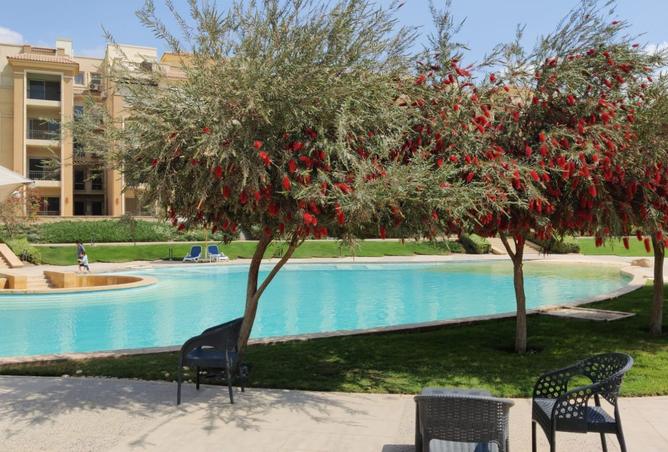 8516282 - Property Image 2