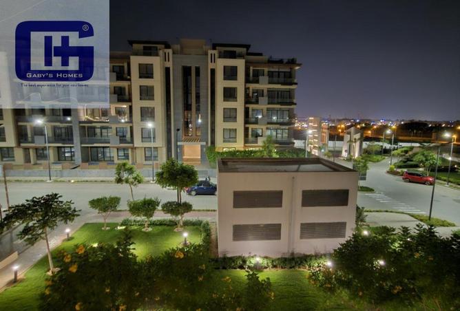 8174278 - Property Image 3