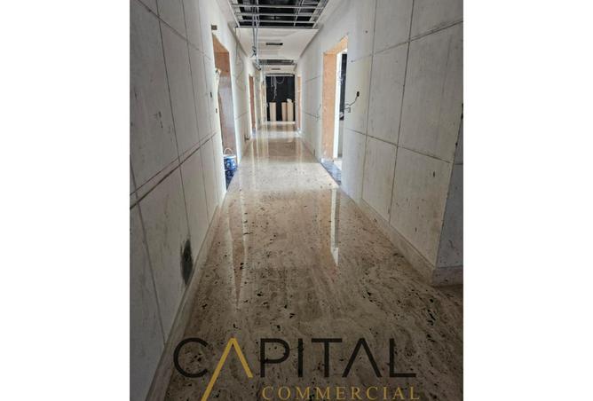 8008955 - Property Image 3