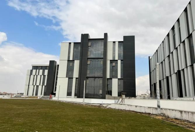 8201832 - صورة العقار 3