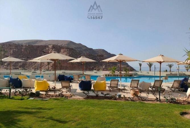 8250452 - Property Image 3