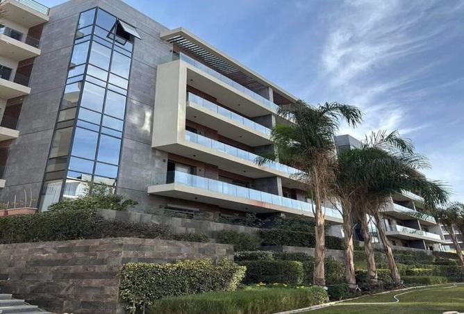 8054726 - Property Image 3