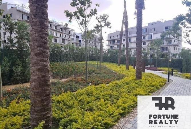 8376259 - Property Image 3