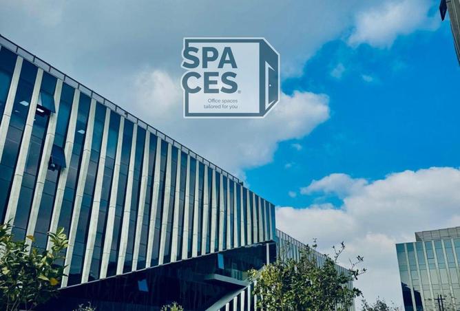 8110823 - Property Image 2