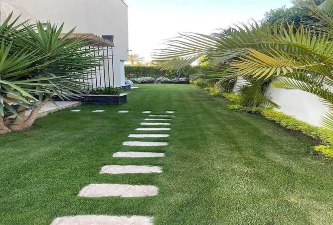 7977995 - صورة العقار 3