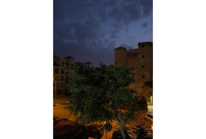 7984971 - صورة العقار 3