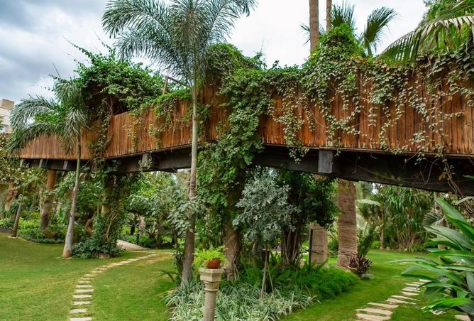 8348087 - Property Image 3