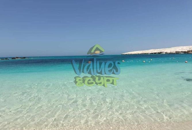 7833135 - Property Image 3