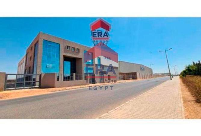 8207900 - صورة العقار 2