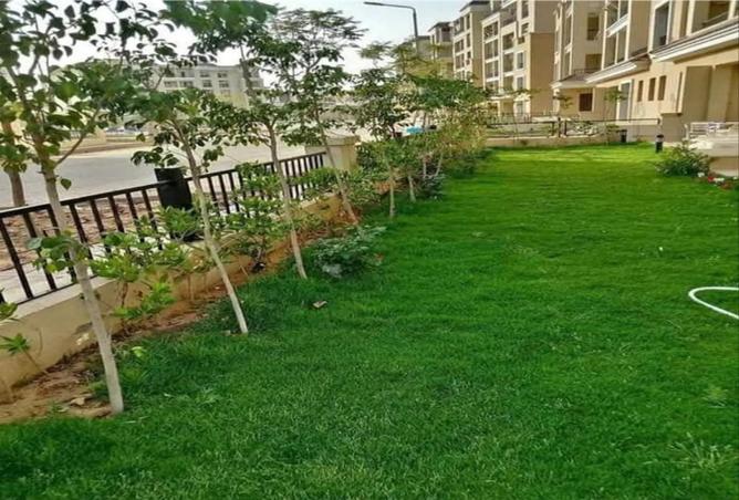 8072626 - صورة العقار 3