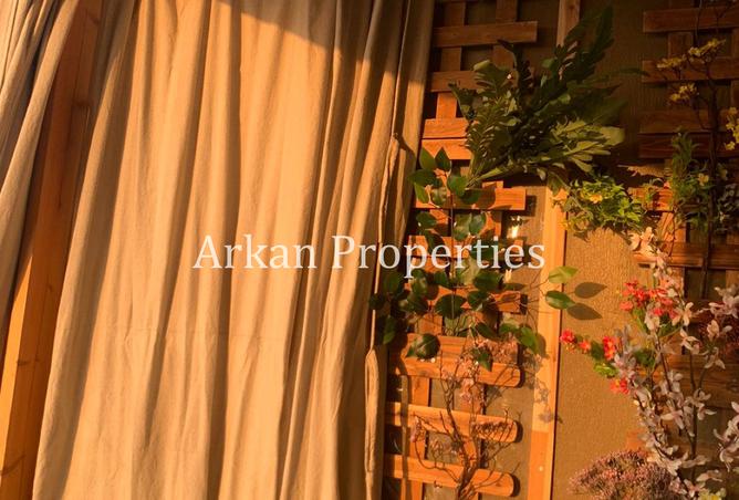8141809 - Property Image 3