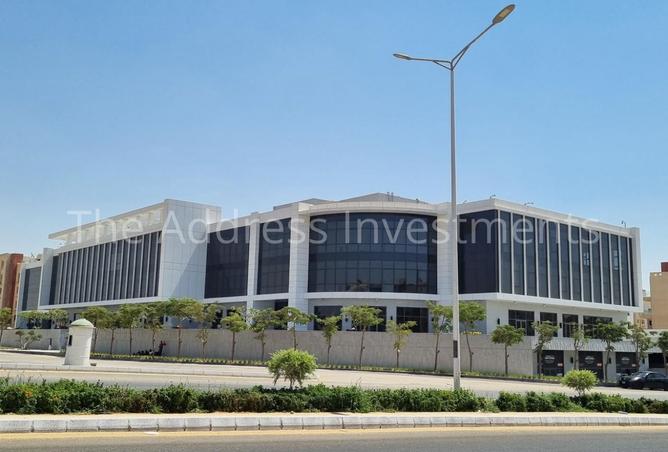 8095502 - Property Image 3