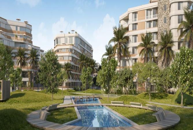 8436601 - Property Image 3